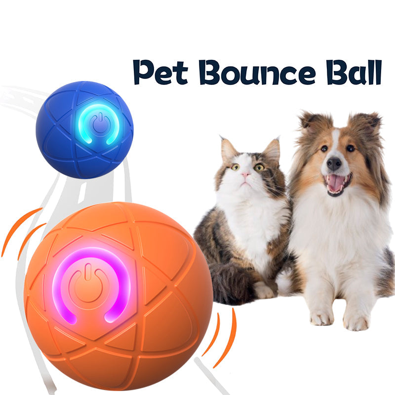 PupBounce – The Interactive Motion Ball